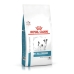 Foder Royal Canin Anallergenic Small VHN Vuxen Kött Fåglar 1,5 Kg