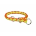 Hondenhalsband Trixie Groen Oranje 25-31 cm 25 x 31 cm