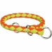 Collier pour Chien Trixie Vert Orange 25-31 cm 25 x 31 cm