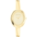 Horloge Dames Calvin Klein 25100056