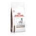 Foder Royal Canin Hepatic Voksen Kød Fugle 7 kg