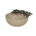 Centerpiece Green Beige Iron 25 x 25 x 11 cm