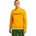 Jungen Sweater mit Kapuze Timberland TB0A5UJYEFM1