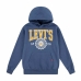 Jungen Sweater mit Kapuze Levi's 9EL487-C1E