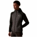 Veste de Sport pour Homme Regatta RMN256-09C