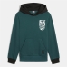 Jungen Sweater mit Kapuze Puma 626526 22