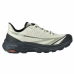 Laufschuhe für Erwachsene Hi-Tec O090143006 Grau