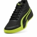 Hardloopschoenen voor Volwassenen Puma 310829 03 Zwart