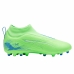 Scarpe da Calcio per Adulti Puma 107900 03