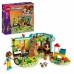 Set di Costruzioni Lego