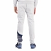 Pantaloni pentru Adulți Le coq sportif 2422172 Gri Bărbați