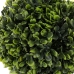 Decorative Plant Polyethylene polypropylene Cement 17 x 17 x 27 cm