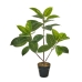 Decorative Plant Polyethylene Plastic Fig Tree 40 x 40 x 75 cm