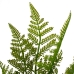 Decorative Plant Polyethylene Plastic Fern 26 x 26 x 45 cm