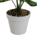 Dekorativ Plante Polyetylen Plast Calathea 28 x 28 x 37 cm