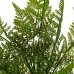 Decorative Plant Polyethylene Plastic Fern 26 x 26 x 45 cm