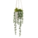 Decoratieve plant Keramisch Polyethyleen 14 x 14 x 40 cm