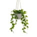 Decoratieve plant Polyethyleen Cement 23 x 23 x 46 cm