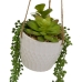 Decorative Plant Ceramic Polyethylene 14 x 14 x 40 cm