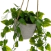 Dekorativ plante Polyetylen Cement 23 x 23 x 46 cm