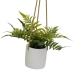 Decorative Plant Polyethylene Cement 30 x 30 x 24 cm