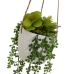 Decoratieve plant Keramisch Polyethyleen 14 x 14 x 40 cm