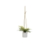 Decorative Plant Polyethylene Cement 30 x 30 x 24 cm