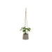 Dekorativ Plante Polyetylen Sement 23 x 19 x 24 cm