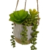 Decorative Plant Ceramic Polyethylene 13 x 13 x 20 cm