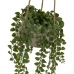 Decoratieve plant Polyethyleen Cement 18 x 18 x 46 cm