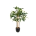 Decoratieve plant Polyester Polypropyleen Eucalyptus 61 x 61 x 80 cm