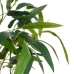 Decoratieve plant Polyester Polypropyleen Eucalyptus 61 x 61 x 80 cm