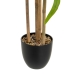 Decorative Plant Polyester polypropylene Eucalyptus 61 x 61 x 80 cm