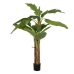 Decorative Plant Rubber Banana plant 70 x 70 x 200 cm