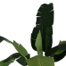 Decorative Plant Rubber Banana plant 120 x 120 x 280 cm