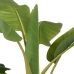 Decorative Plant Rubber Banana plant 70 x 70 x 200 cm