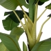 Decorative Plant Rubber Banana plant 120 x 120 x 280 cm