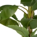 Decorative Plant Rubber Banana plant 70 x 70 x 200 cm