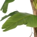 Decorative Plant Rubber Banana plant 120 x 120 x 280 cm