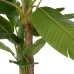 Decorative Plant Rubber Banana plant 70 x 70 x 200 cm