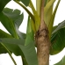 Decorative Plant Rubber Banana plant 70 x 70 x 200 cm