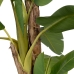 Decorative Plant Rubber Banana plant 120 x 120 x 280 cm