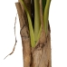 Decorative Plant Rubber Banana plant 120 x 120 x 280 cm