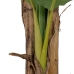 Decorative Plant Rubber Banana plant 70 x 70 x 200 cm