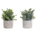 Plantă decorativă DKD Home Decor Vază Verde Rășină PE (10,5 x 10,5 x 24 cm) (2 Unități)