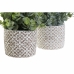 Plantă decorativă DKD Home Decor Vază Verde Rășină PE (10,5 x 10,5 x 24 cm) (2 Unități)