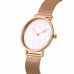 Horloge Dames Pierre Cardin CBV-1519