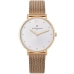 Horloge Dames Pierre Cardin CBV-1013