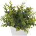 Baum Alexandra House Living 25cm