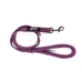 Dog Lead Gloria Purple S